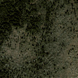 Satellite imagery of Little Beartrap Ridge, US