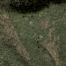 Satellite imagery of Little Beartrap Ridge, US