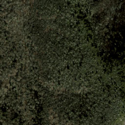 Satellite imagery of Green Ridge, US