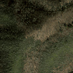 Satellite imagery of Fire Scald Ridge, US
