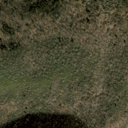 Satellite imagery of Fire Scald Ridge, US