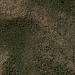 Satellite imagery of Grassy Cove Ridge, US