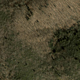 Satellite imagery of Grassy Cove Ridge, US