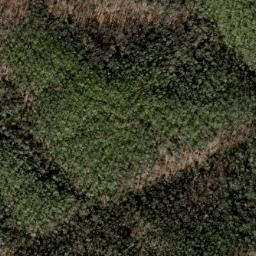 Satellite imagery of Grassy Ridge, US