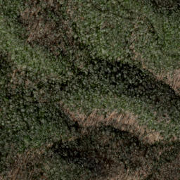 Satellite imagery of Grassy Ridge, US