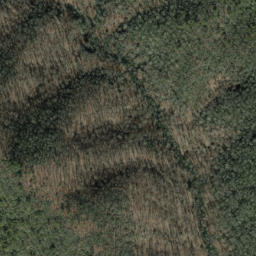 Satellite imagery of Big Pine Ridge, US
