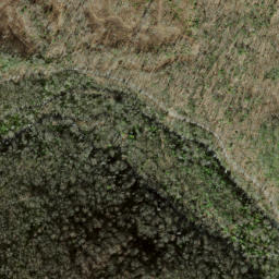 Satellite imagery of Horse Cove Ridge, US