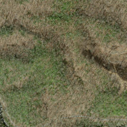 Satellite imagery of Horse Cove Ridge, US