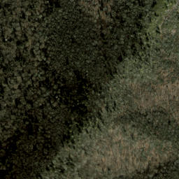 Satellite imagery of Fork Ridge, US