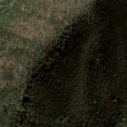 Satellite imagery of Fork Ridge, US