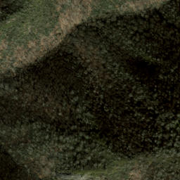 Satellite imagery of Fire Scald Ridge, US