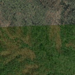 Satellite imagery of Big Pine Ridge, US