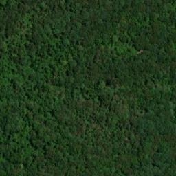 Satellite imagery of Love Bluff, US