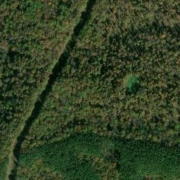 Satellite imagery of Foster Hollow Prospect, US