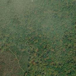 Satellite imagery of Middle Point, US