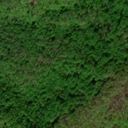 Satellite imagery of McIntyre Lead, US