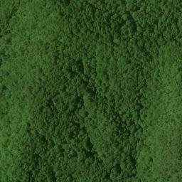 Satellite imagery of Flint Ridge, US