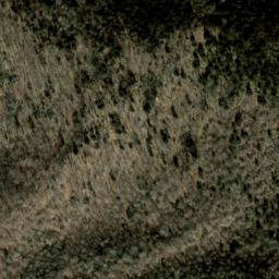 Satellite imagery of Fork Ridge, US