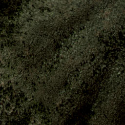 Satellite imagery of Fork Ridge, US