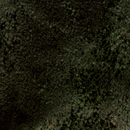 Satellite imagery of Fork Ridge, US