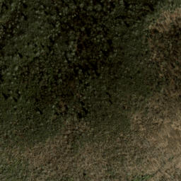 Satellite imagery of Ivestor Ridge, US