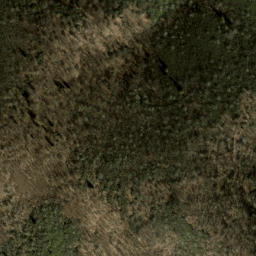 Satellite imagery of Ivestor Ridge, US