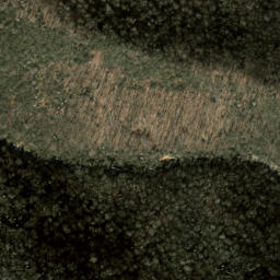 Satellite imagery of Nobreechies Ridge, US