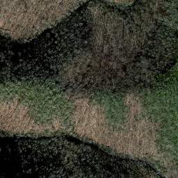 Satellite imagery of Cat Ridge, US