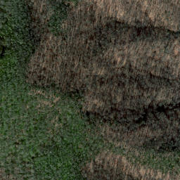 Satellite imagery of Cat Ridge, US