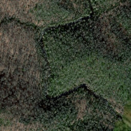 Satellite imagery of Cat Ridge, US