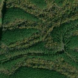 Satellite imagery of Foster Hollow Prospect, US
