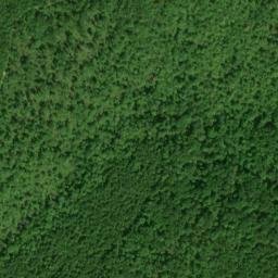 Satellite imagery of White Cliff, US