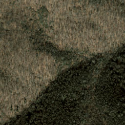 Satellite imagery of Beartrap Ridge, US