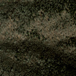 Satellite imagery of Fork Ridge, US