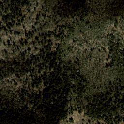 Satellite imagery of Fork Ridge, US