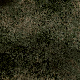 Satellite imagery of Fork Ridge, US