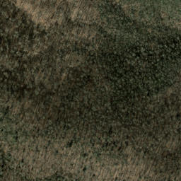 Satellite imagery of Case Camp Ridge, US