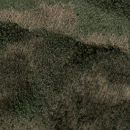 Satellite imagery of Case Camp Ridge, US