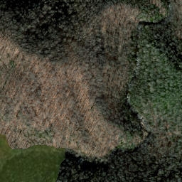 Satellite imagery of Cat Ridge, US