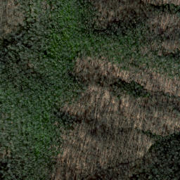Satellite imagery of Cat Ridge, US