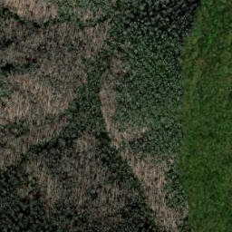 Satellite imagery of Cat Ridge, US