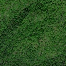 Satellite imagery of Brushy Ridge, US