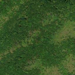 Satellite imagery of Brushy Ridge, US