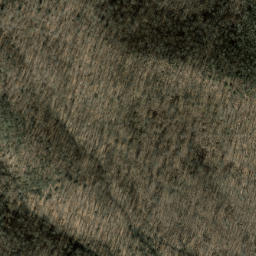 Satellite imagery of Case Camp Ridge, US