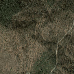 Satellite imagery of Case Camp Ridge, US