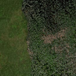 Satellite imagery of Cat Ridge, US