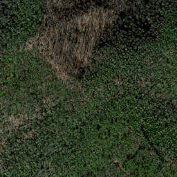 Satellite imagery of Cat Ridge, US