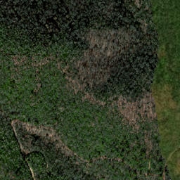 Satellite imagery of Cat Ridge, US