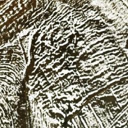 Satellite imagery of Djebel Mahmel, DZ