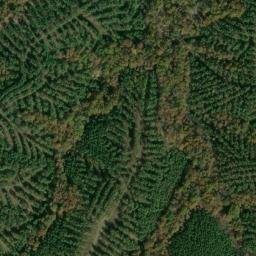 Satellite imagery of Negro Ridge, US